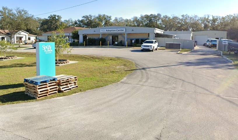 SPCA Florida Adoption Center