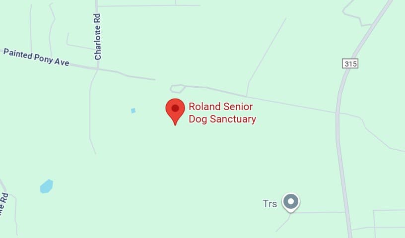 Roland Senior Dog Sanctuary