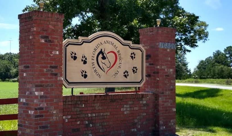 North Florida Animal Rescue
