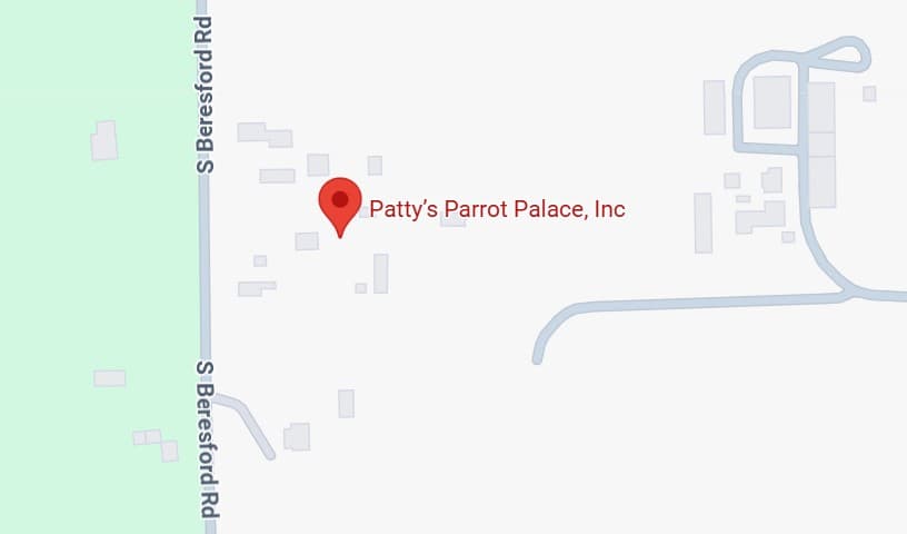 Patty's Parrot Palace, Inc.