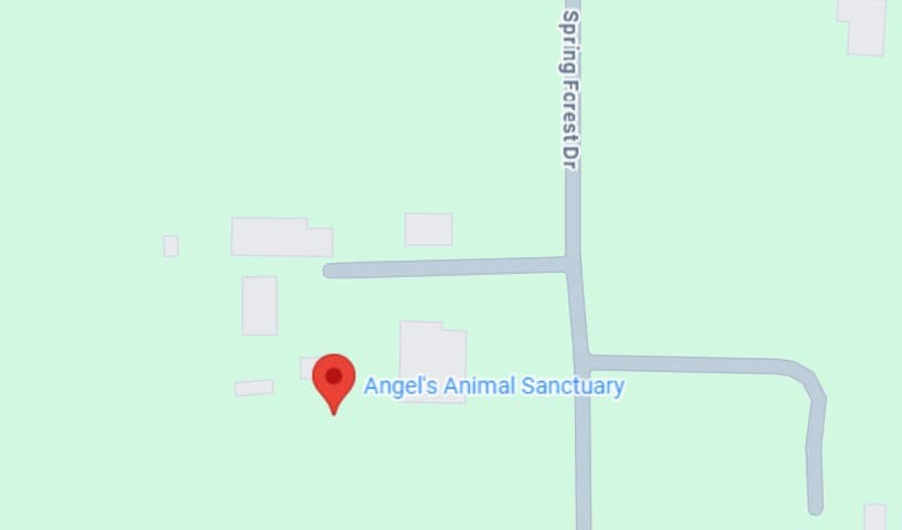 Angel's Animal Sanctuary