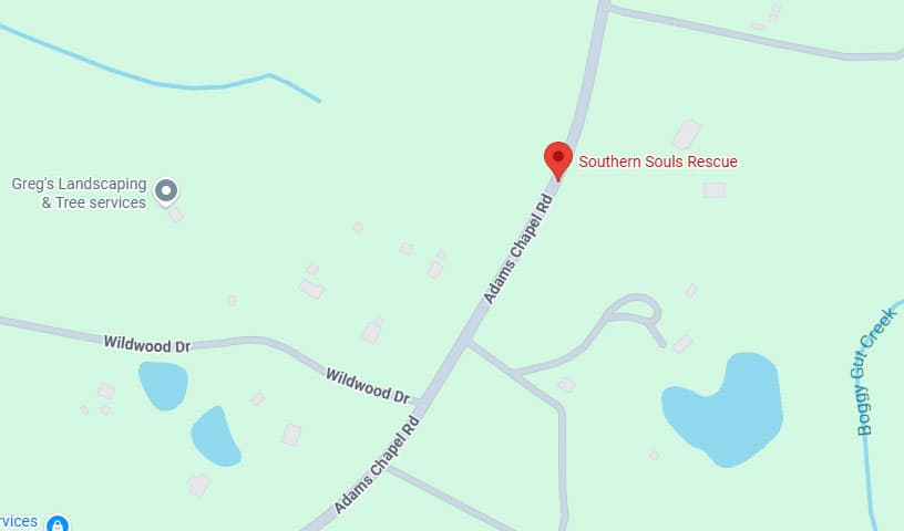 Southern Souls Rescue