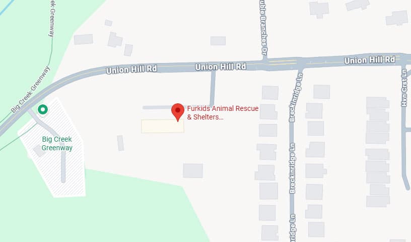 Furkids Animal Rescue & Shelters -Headquarters and Cat Shelter