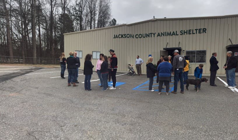Jackson County Animal Shelteradoption dogs see photos