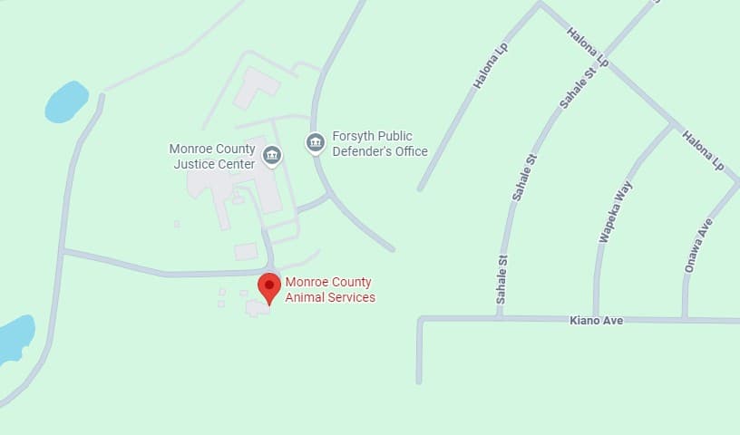 Monroe County Animal Services