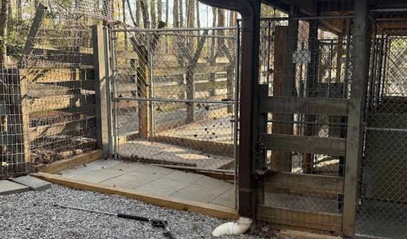 Big Canoe Animal Rescue