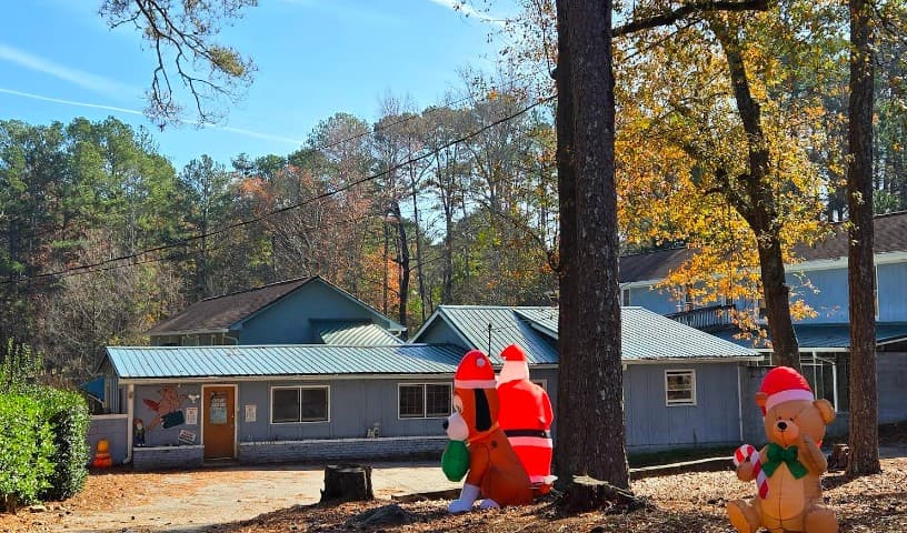 Camp Paradise Pet Resort