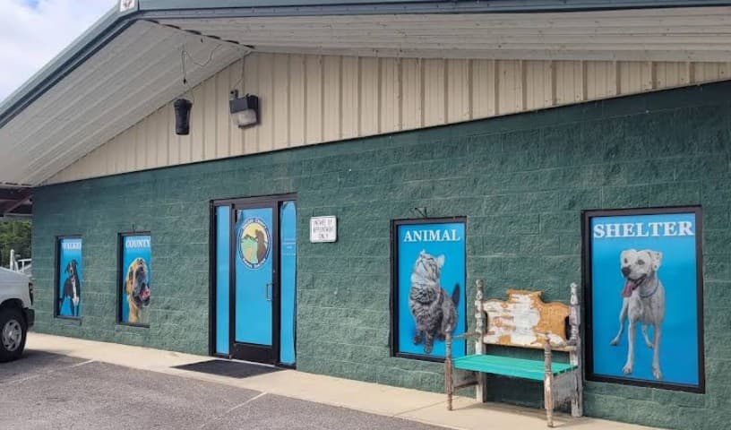 Walker County Animal Shelter