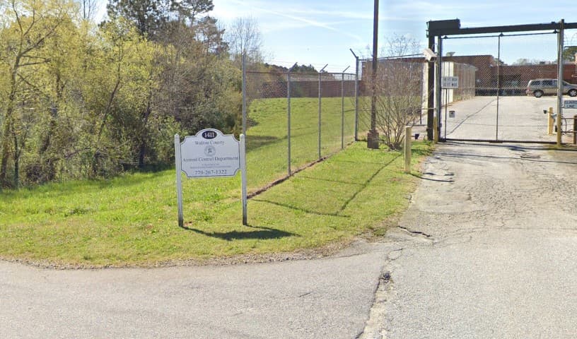 Walton County Animal Control