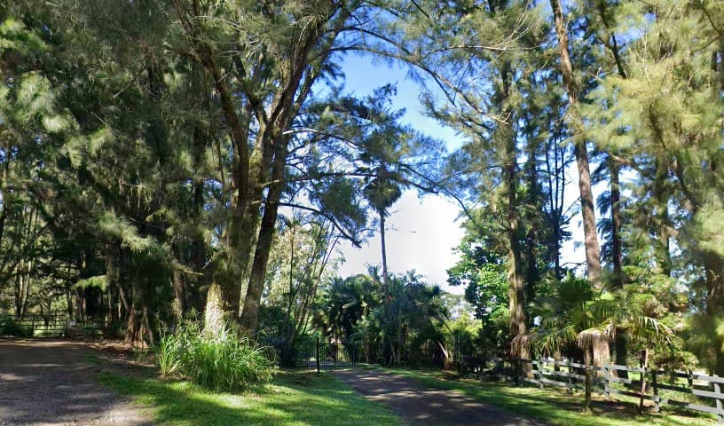 Magical Creatures Sanctuary