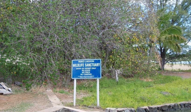 Paikō Lagoon Wildlife Sanctuary