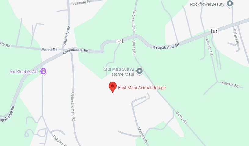 East Maui Animal Refuge