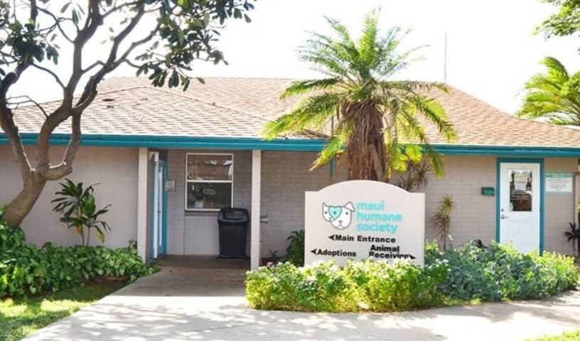 Maui Humane Society