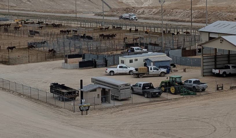 Boise Wild Horse Corrals
