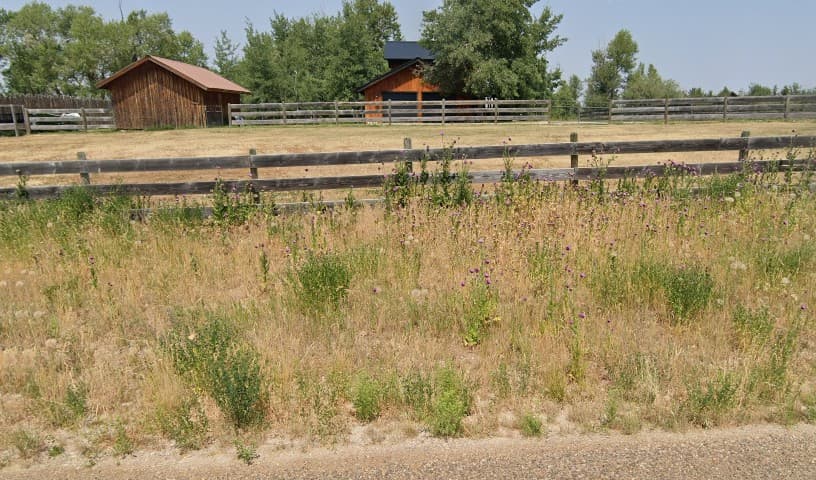 Teton County Mosquito Abatement District