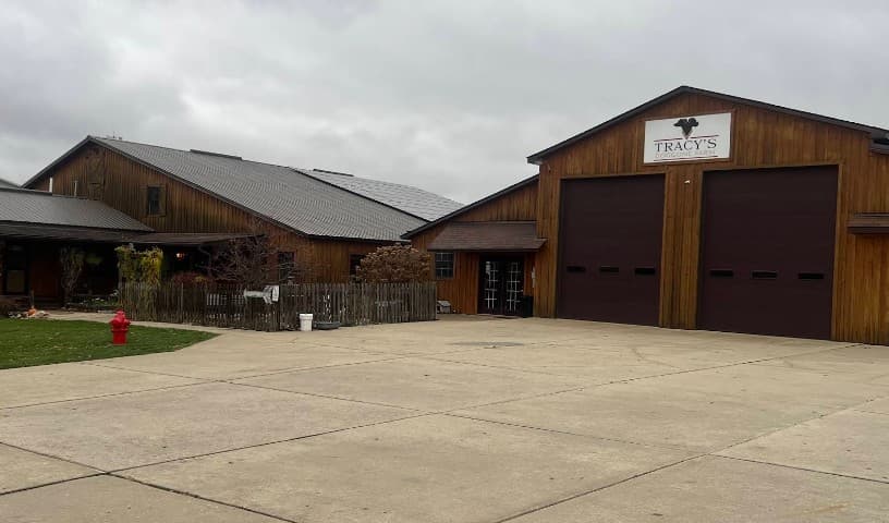 Tracy's Doggone Farm