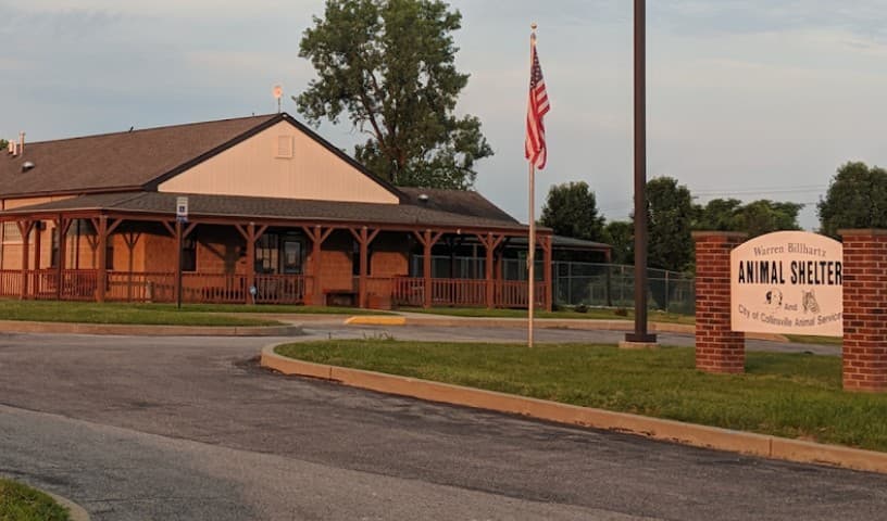 Collinsville Animal Control