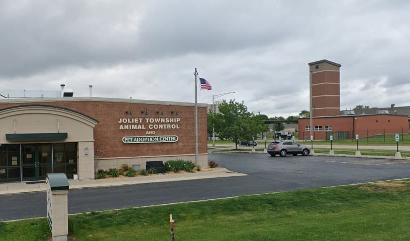 Joliet Township Animal Control
