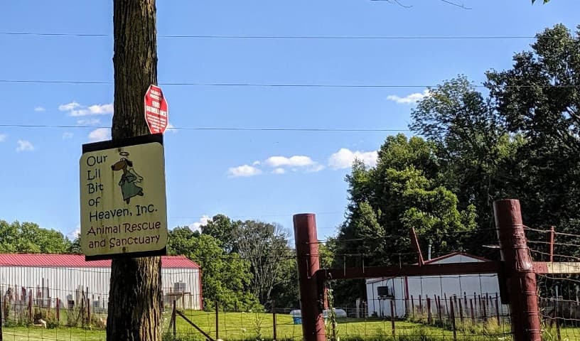 Our Lil' Bit Of Heaven