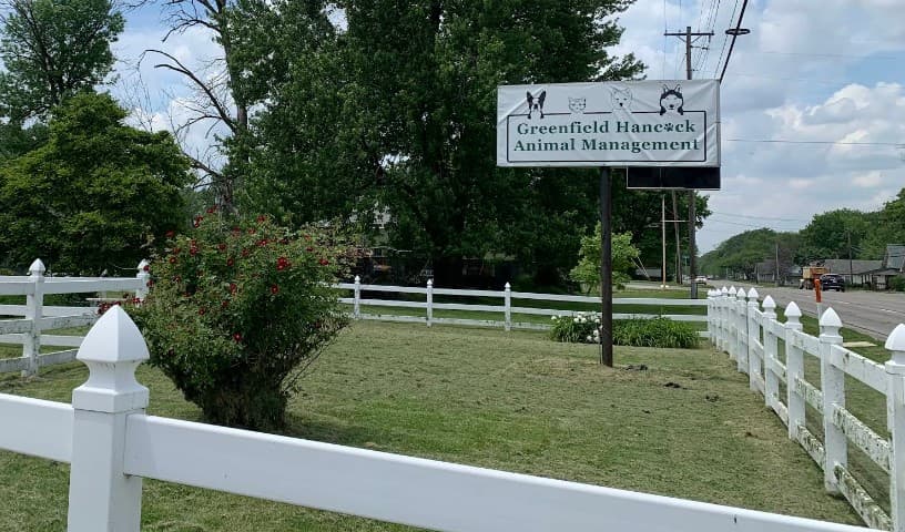Greenfield-Hancock Animal Management