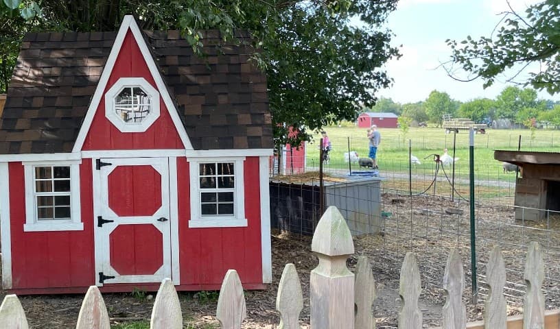 Oinking Acres Farm & Rescue Sanctuary