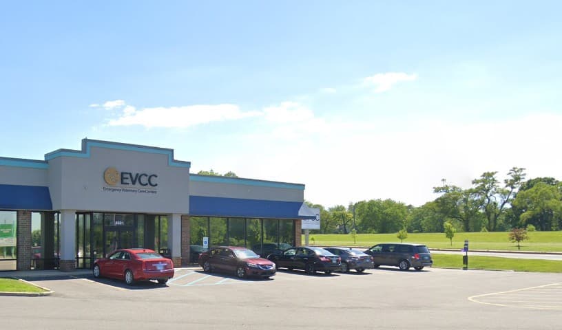Emergency Veterinary Care Centers