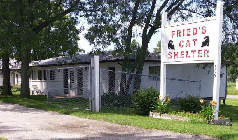 Fried's Cat Shelter Inc