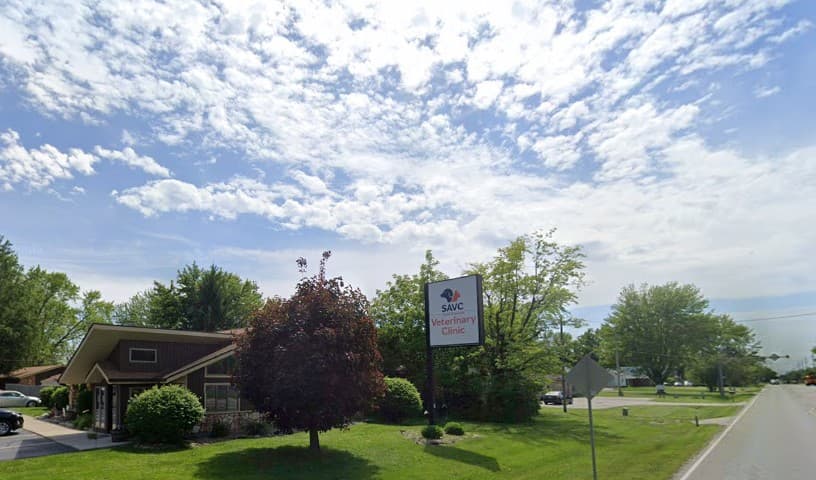 South Anderson Veterinary Clinic