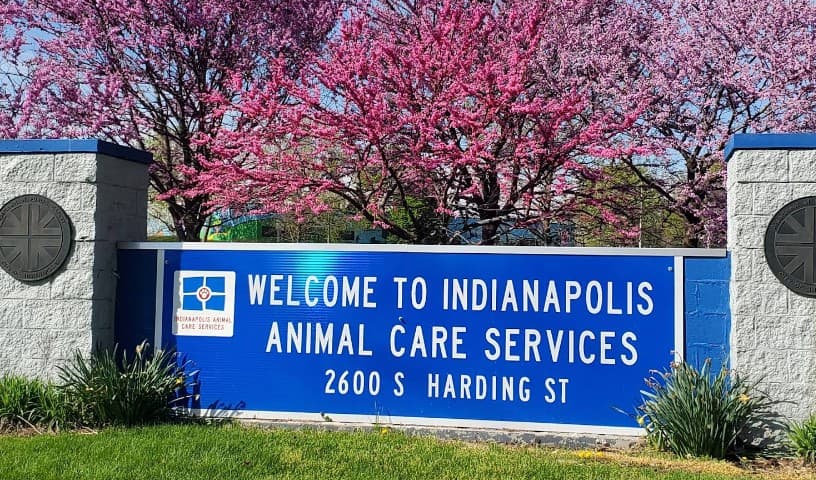 Indianapolis Animal Care Services