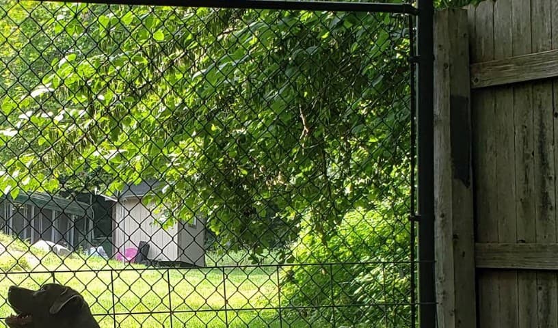 Owen County Humane Society
