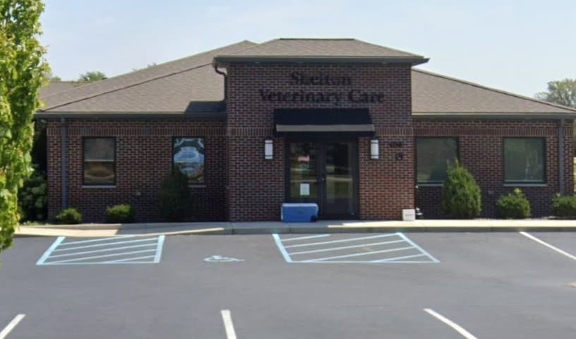 Shelton Veterinary Care
