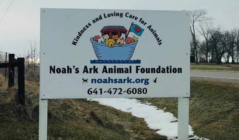 Noah's Ark Animal Foundation