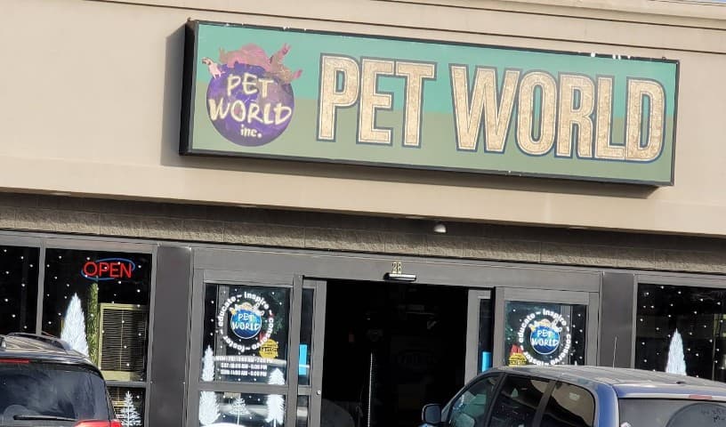 Pet World Experience