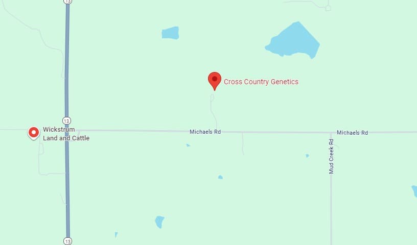 Cross Country Genetics