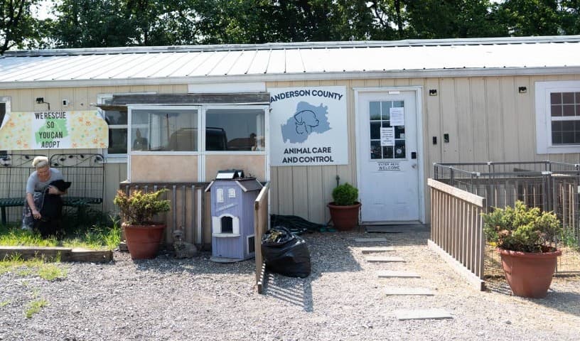 Anderson County Animal services