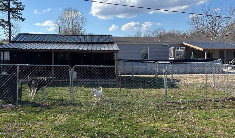 K9 Creek Dog Boarding & Daycare