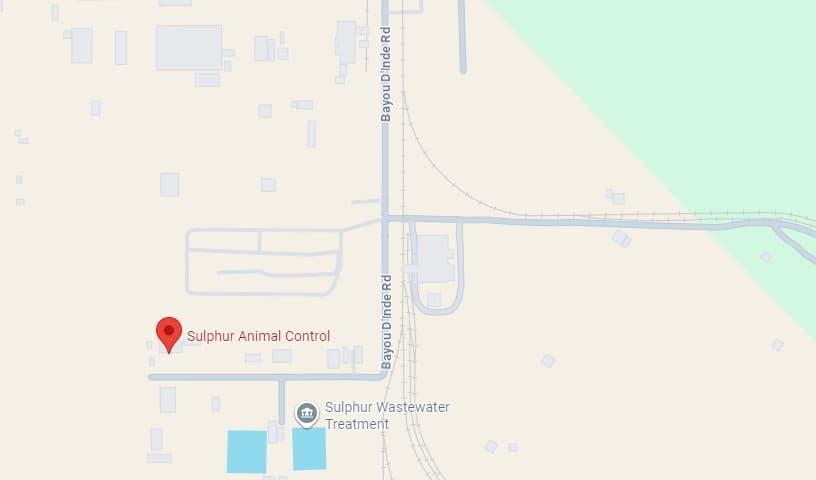 Sulphur Animal Control