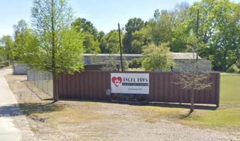 Angel Paws Adoption Center (Iberia Humane Society)