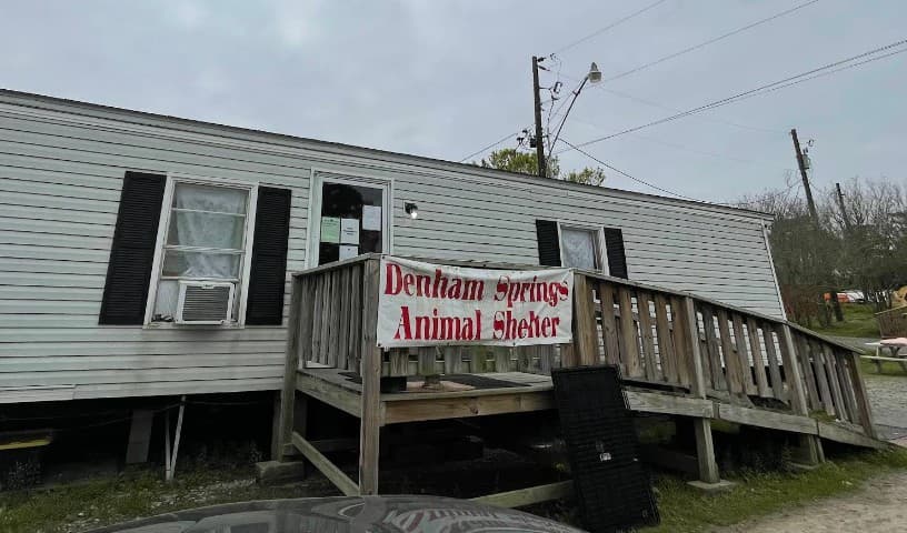 Denham Springs Animal Control