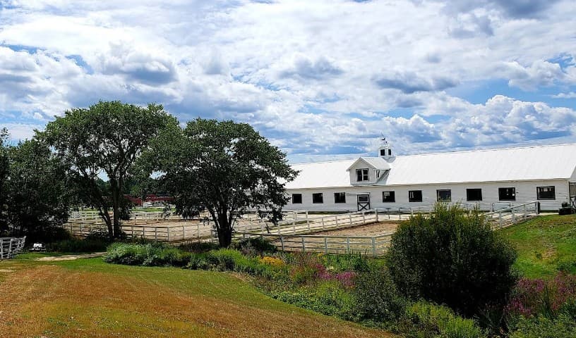 Maine State Society for the Protection of Animals