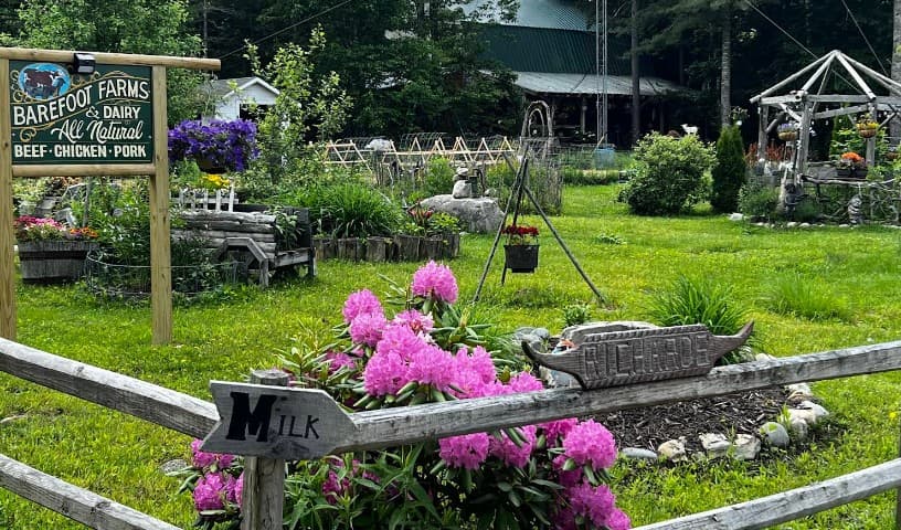 Barefoot Farms