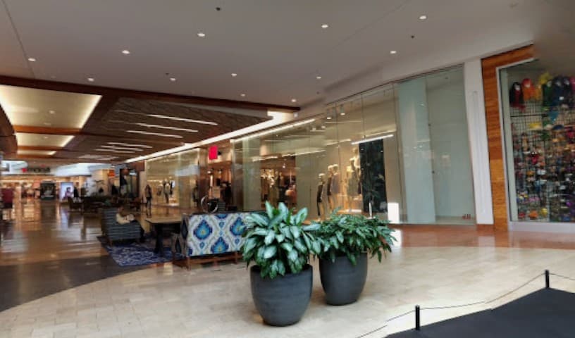 Paws at the Mall
