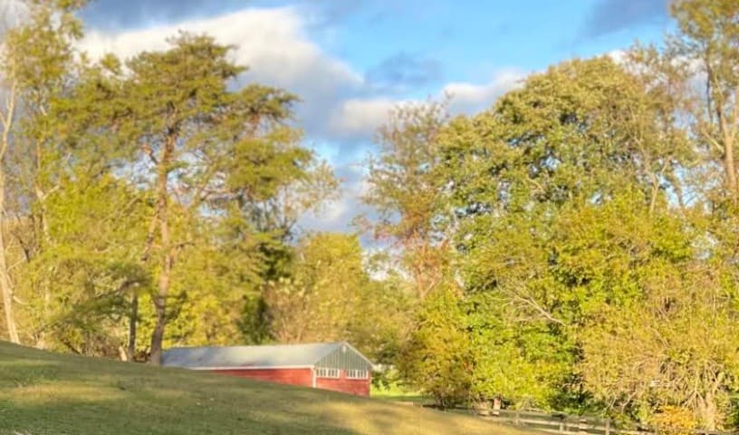 Rosie’s Farm Sanctuary