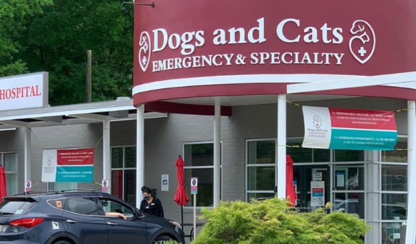 Dogs and Cats Emergency & Specialty