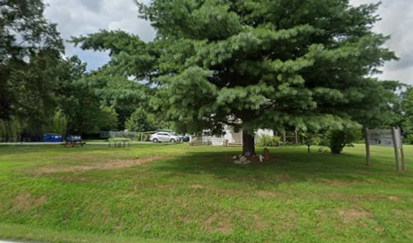 Chesapeake Cats & Dogs Inc