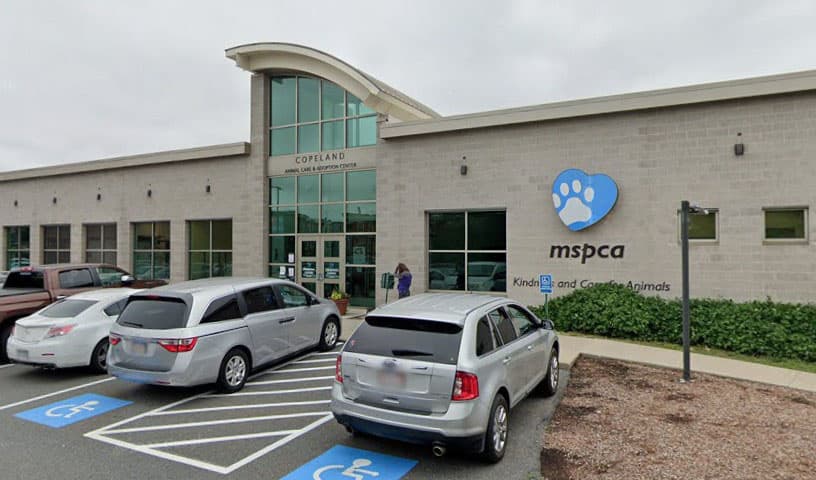 MSPCA Animal Care and Adoption Center