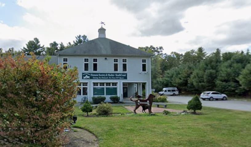 The Humane Society & Shelter SouthCoast