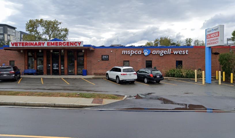 MSPCA-Angell West