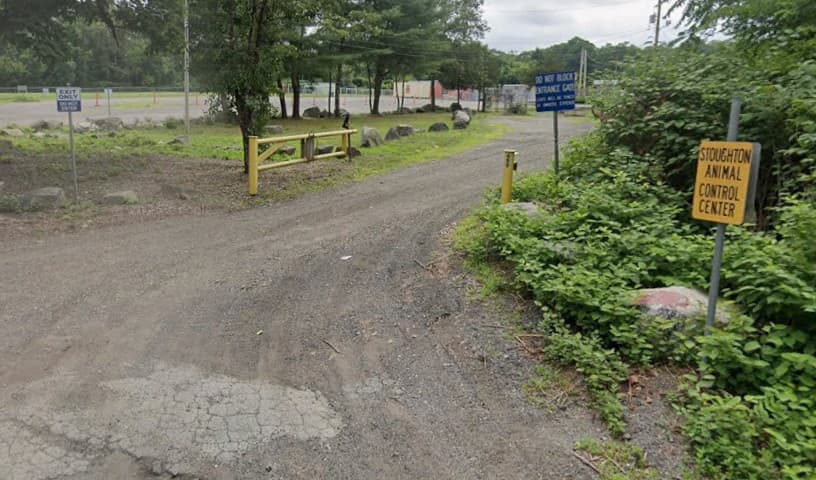 Stoughton Animal Control