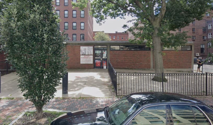 Boston Veterinary Care